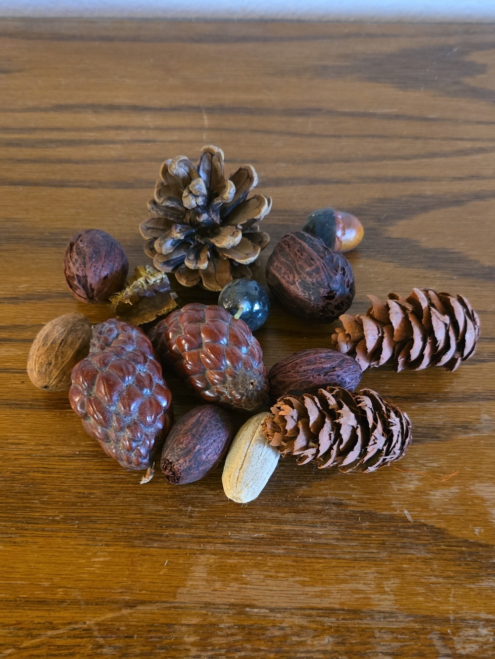 Natural Brown Pinecone and Nut Decor Tote X